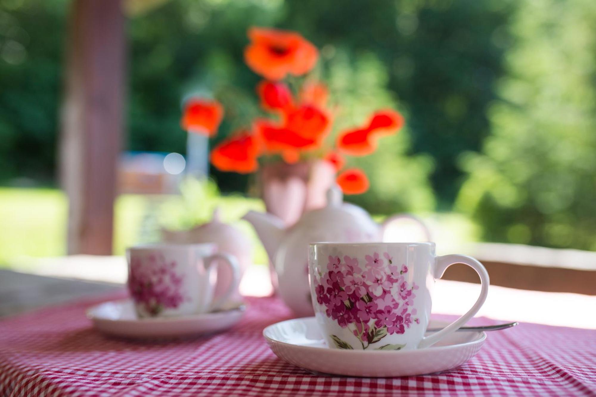 Gosciniec Malinowka Bed & Breakfast Krzeszna Luaran gambar